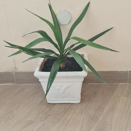 Brezza Marina Prázdninový dům